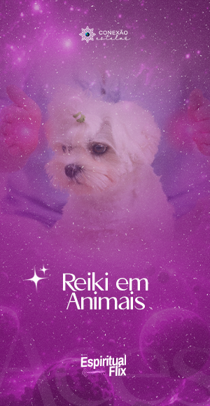 reiki animais
